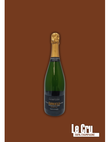 Michel Arnould Brut Tradition demi