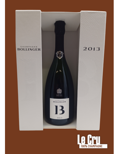 Bollinger B13