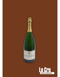 Delamotte Blanc de Blancs demi