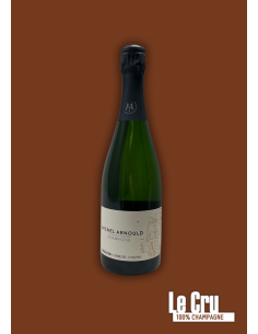 Michel Arnould Observation (Brut Réserve)