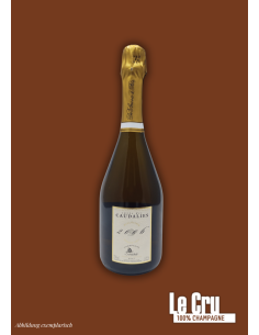 De Sousa Cuvee des Caudalies 2010