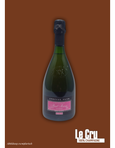 Paul Bara Special Club Rosé 2013