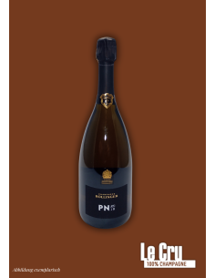 Bollinger PN VZ19