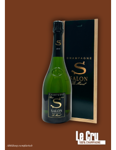 Salon Le Mesnil 2013