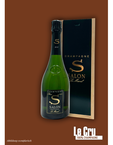 Salon Le Mesnil 2013