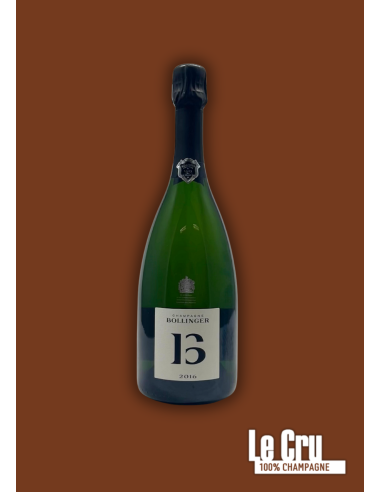 Bollinger B16