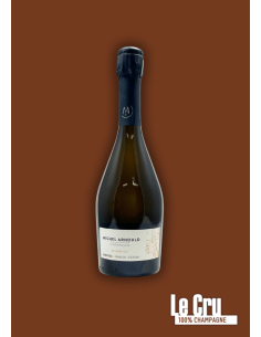 Michel Arnould Heuristique 2020