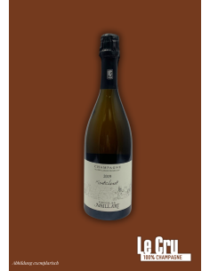 Nicolas Maillart Montchenot 2020