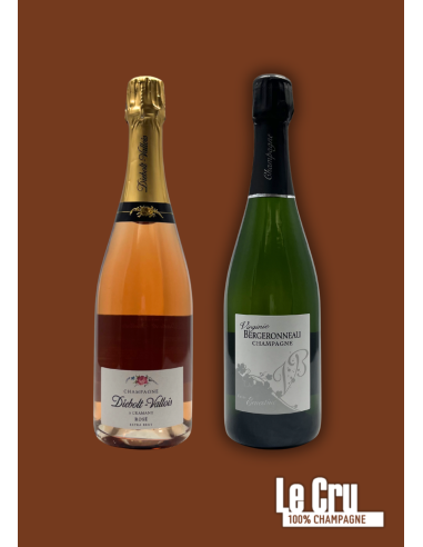 Weltfrauentags-Angebot: Virginie Bergeronneau...